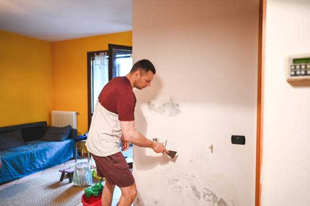 Best Mold Damage Repair  in Middlesborough, KY